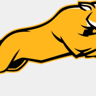 Cougar Jumping Thumbnail